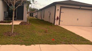 RASTA QUEEN $treasie1  is live! Came home from work cut the neighbor and my grass..