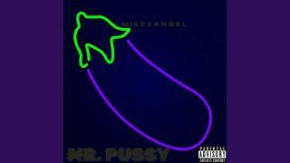 Mr.Pussy