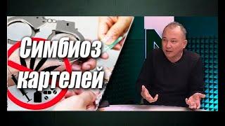 Законодательство Казахстана оберегает наркокартели