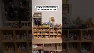 My Sylvanian Families Figures Collection Currently!#sylvanianfamilies#figure#collection