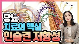 당뇨 극복하려면 ‘인슐린 저항성’ 관리는 필수 | 최영주의 당당스쿨 #11 내분비내과 최고의 난제! 당뇨병 먼저? 인슐린저항성 먼저?