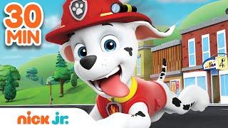 Best of Marshall  PAW Patrol! | 30 Minute Compilation | Nick Jr.