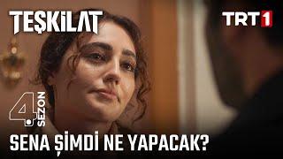 Sena şimdi ne yapacak? | #Teşkilat Özel Sahneler