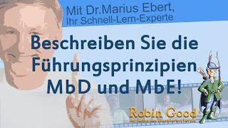 Beschreiben Sie die Führungsprinzipien MbD und MbE!