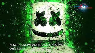 DJ SNOW AND MARSHMELLO -OYEE REMIX