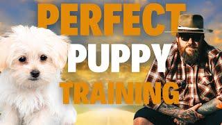 How To Train YOUR Puppy PERFECTLY!