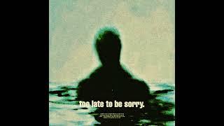 too late to be sorry. (Extended Intro) (Slowed and Reverb)
