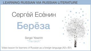 Sergey Yesenin "Birch": Learning Russian Language via Russian Literature (A2+/B1) Preview