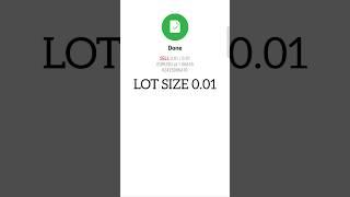 Forex Trading with lot size 0.01 |  Forex trading in currency pairs | EUR / USD trading #shorts