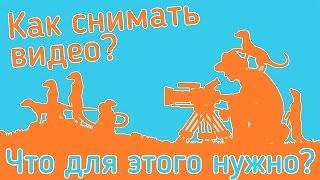 Как снимать видео? Что для этого нужно? Советы начинающему блоггеру от А до Я.