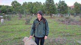 Os enseño cómo está Pelayo y una sorpresa que nos hemos encontrado