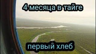 4 месяца в Тайге Сезон 2020 серия 2. первый хлеб))))