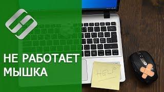 Не работает ️ мышка на компьютере или  ноутбуке  с Windows 10, 8 и 7