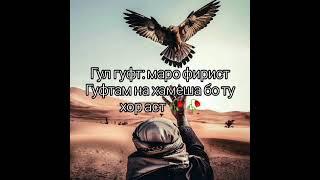 ЗОДРУЗ  МУБОРАК