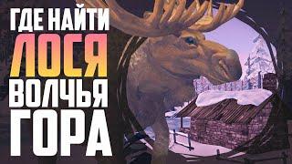 WHERE TO FIND MOOSE (TIMBERWOLF MOUNTAIN) | THE LONG DARK