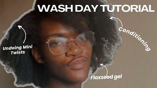 ULTIMATE Wash Day Routine for Natural Hair!