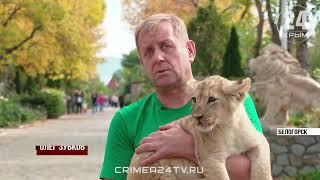 "Крым24" о рождении львят в Тайгане! Парк львов Тайган #тайган