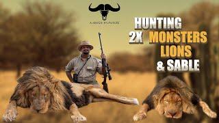 LION HUNTING IN KALAHARI DESERT OCT 2021-مقناص الاسود #africa #hunting #صيد #lionhunting #الكويت