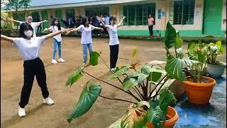 Wellness Dance 2022