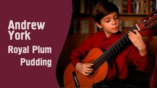 Royal Plum Pudding - Andrew York • Performed by Pavel Evseev (9)