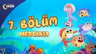 Mercanya | 7. Bölüm | Nezaket Yolculuğu