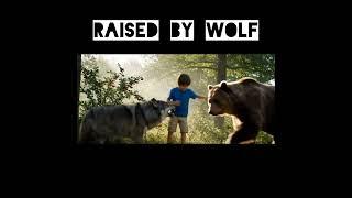 wolf raised a human kid #ai #trending #viralvideos #shorts #usa #facts
