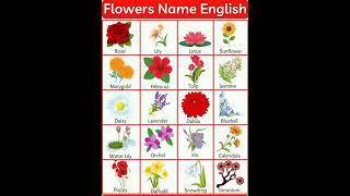 flower name