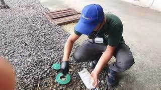 EXTERMINEX In-Ground Termite Bait installation Philippines - Termaxpro Pest Control