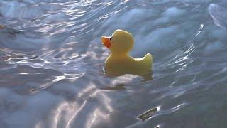 Duck on the waves. Blender animation tutorial