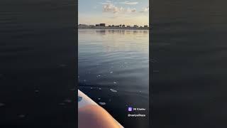 Пятница, мы мчим от суеты,проблем, туда, где все равно кто и какие мы, здесь есть место любому#север