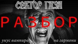 ПЕСНИ ПОД ГАРМОНЬ | РАЗБОР СЕКТОР ГАЗА - УКУС ВАМПИРА | на гармони