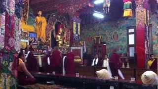 Buddhist Monks Chanting at Tharlam Monastery in Boudhanath, Kathmandu, Nepal