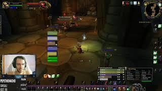 SM: Armory HARDCORE Healing, Full Run with Commentary | Priest WoW Classic