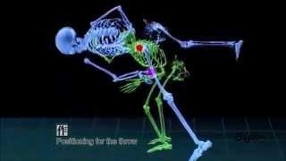 JUDO TECHNIQUES: Base of support / Center of gravity explained