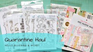 Quarantine Card Making Haul - Hello Bluebird, Mama Elephant, & more craft supplies