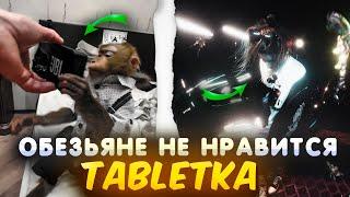 Обезьяна слушает ТАБЛЕТКУ I danoneflexin