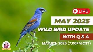 What's REALLY Happening with Wild Birds in May 2025