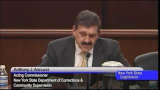 Public Protection Hearing Testimony by Acting Commissioner Annucci, January 30, 2018