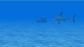 Danyal rehan fish escape