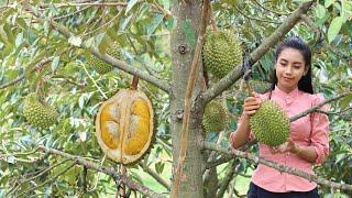 Durian fruit in my homeland and make Durian dessert for my family