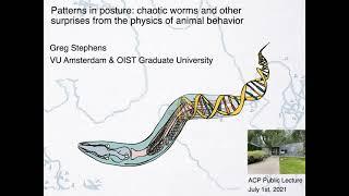 Patterns in Posture: Chaotic Worms, Surprises from the Physics of Animal Behavior