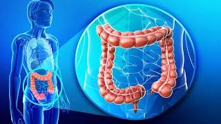 ЗДОРОВЫЙ ТОЛСТЫЙ КИШЕЧНИК ● Практика исцеления всех отделов толстого кишечника, геморроя