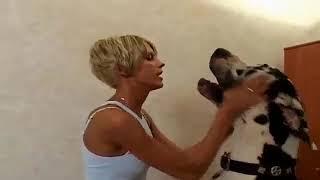 Sweet Girl Playing With Her Giant Dog