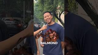 BALMOND REVAMP