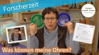 Wie hören Ohren | einfache Experimente | für Zuhause | für Kinder | Thema: Mein Körper