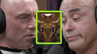 Eddie Bravo Exposes “Luciferian” Elements at Vatican