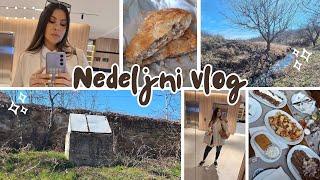 NEDELJNI VLOG - PROBAM NOVITETE ZA KOSU / KUPOVINA POKLONA / PRIPREME ZA PUT / PONOVO U NIŠU ️