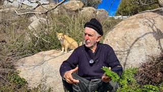 Avşa Adası'nın ️ Robinson Crusoe'su Gürcan Durmazbilek: "Mutlu olmak küçük şeylerde saklı!"