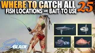 Stellar Blade - How to Catch ALL 25 Fish Locations, Best Bait, Best Locations Tips & Tricks Guide