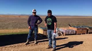 Welding O-Lets and Rattlesnakes